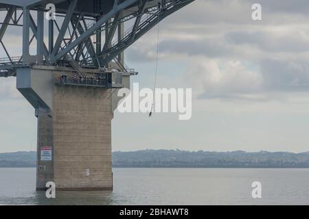 Bungee Jumping von der Harbour Bridge, Auckland, Nordinsel, Neuseeland, Stockfoto