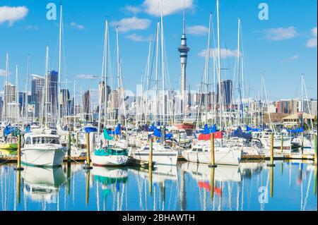 Skyline von Auckland von Westhaven Marina, Auckland, North Island, Neuseeland, Stockfoto