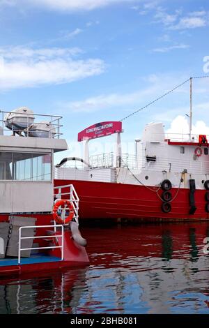 Hafen, Stadt, Island, Reykjavik, Hauptstadt, Walbeobachtung Stockfoto