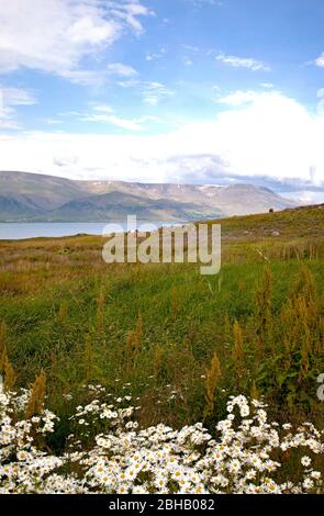 Videy Island; Landschaft; Meer; Himmel; Island; Reykjavik Stockfoto