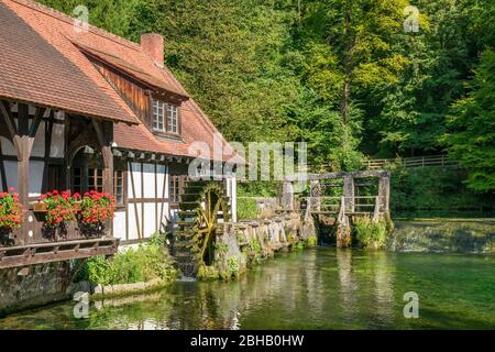 Deutschland, Baden-Württemberg, Blaubeuren, blauer Topf, Wasserrad bei der Hammerschmiede. Stockfoto