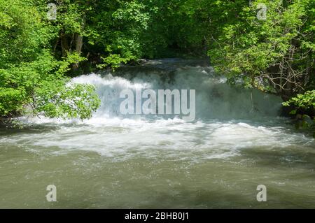 Deutschland, Baden-Württemberg, Hayingen - Anhausen, am Hohen Gießel fällt der lauter über eine 4m hohe Tuffbar. Stockfoto