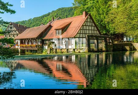 Deutschland, Baden-Württemberg, Blaubeuren, Blautopf, Schwäbische Alb Stockfoto