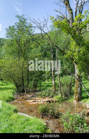 Deutschland, Baden-Württemberg, Lenningen-Gutenberg, Kalksteinsinterrassen im Donntal bei Gutenberg im Biosphärenreservat Schwäbische Alb Der Donnbach liegt im Naturschutzgebiet Oberes Lenninger Tal. Stockfoto