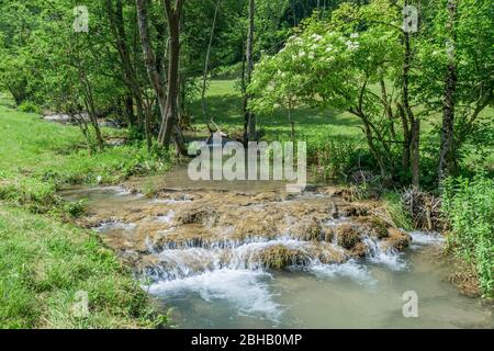 Deutschland, Baden-Württemberg, Lenningen-Gutenberg, Kalksteinsinterrassen im Donntal bei Gutenberg im Biosphärenreservat Schwäbische Alb Der Donnbach liegt im Naturschutzgebiet Oberes Lenninger Tal. Stockfoto