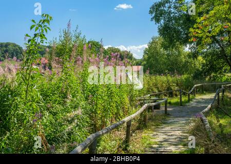 Deutschland, Baden-Württemberg, Lenningen-Schopfloch, Schopfloch-Moor, Holzbohlenweg im Otto-Hoffmeister-Haus, Stockfoto