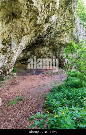 Deutschland, Baden-Württemberg, Hayingen - Anhausen, Felsüberhang Heuscheuerle im NSG Grosses Lautertal, Fernwanderweg Schwäbisch-Alb-Südrand-Weg. Stockfoto