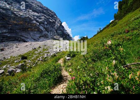 Auf dem Weg zum Königshaus Schachen, Deutschland, Bayern, Oberbayern, Garmisch-Partenkirchen Stockfoto