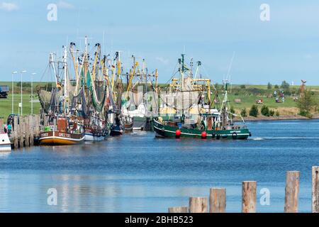 Deutschland, Niedersachsen, Ostfriesland, Greetsiel, Krabbenschneider im Hafen. Stockfoto