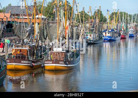 Deutschland, Niedersachsen, Ostfriesland, Greetsiel, Krabbenschneider im Hafen. Stockfoto