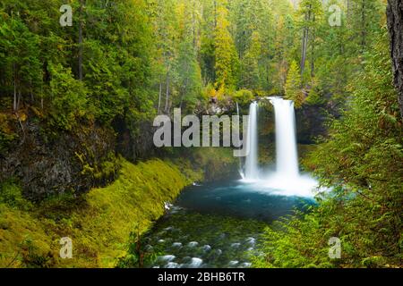 Landschaftlich schöner Blick auf den Wasserfall inmitten des Waldes, Portland, Oregon, USA Stockfoto