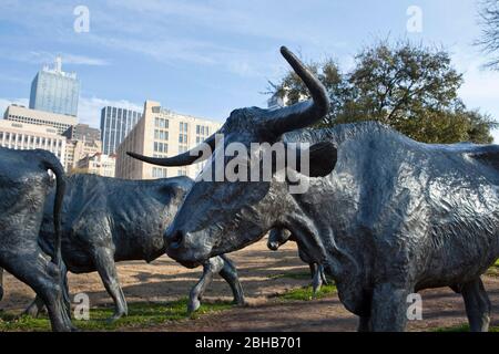 Dallas Texas USA, April 3 2010: Auf der Pioneer Plaza in der Innenstadt von Dallas zeigt die weltweit größte Bronzeskulptur ihrer Art einen Viehtrieb mit drei Cowboys und einer Herde von 50 Langhornlenkern. Jedes Stück wurde vom Künstler Robert Summers von Glen Rose, TX, geschaffen. Die Skulptur befindet sich auf dem Gelände des Shawnee Trail, der im Jahr 1850s ein beliebter Viehweg war. ©Bob Daemmrich Stockfoto