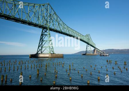 Blick auf Pfähle auf dem Meer, Astoria Bridge dahinter, Oregon, USA Stockfoto