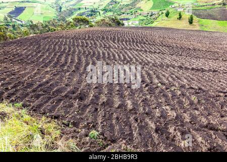 Feld erstellt mit Zeilen für Kulturpflanzen Stockfoto