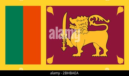 Nahaufnahme Flagge von Sri Lanka Stock Vektor