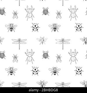 Vektor nahtlose schwarz-weiß Muster von verschiedenen Hand gezeichneten Doodle isolierte Insekten Stock Vektor