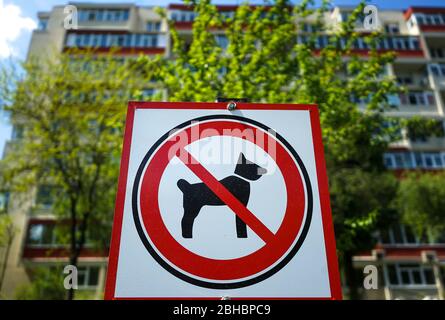 Bukarest, Rumänien - 23. April 2020: Auf einer Straße in Bukarest ist ein Schild ohne Hunde zu sehen. Dieses Bild ist nur für redaktionelle Zwecke bestimmt. Stockfoto