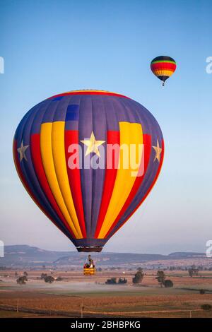 Heißluftballons schweben über dem Weinanbaugebiet in der Nähe von Tequisquiapan, Queretaro, Mexiko. Stockfoto