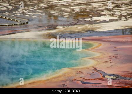 Nahaufnahme der Grand Prismatic Spring im Midway Geyser Basin, Yellowstone National Park, Wyoming, USA. Es ist die größte heiße Quelle in der UN Stockfoto