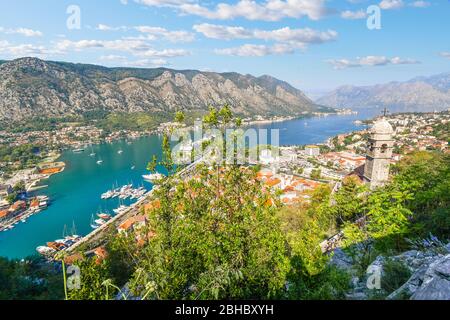 Blick von der alten Burg auf dem Hügel der Bucht von Kotor, in Kotor, Montenegro. Stockfoto