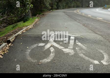 Bäume mit großen Wurzeln beschädigen den Radweg. Niedrige Winkelansicht des gesprungenen Radweges mit aufgedrucktem Fahrradschild. Stockfoto