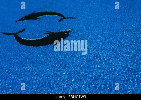 Swimmingpool, blaues klares Wasser im Außenpool, mit Sonnenstrahlen an der Oberfläche. Hintergrund des blauen Wassers im Pool. Wellen auf der Oberfläche der Th Stockfoto