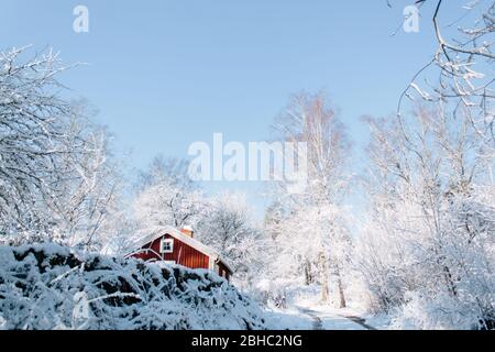 Typisches rotes Holzhaus im schwedischen Winterwunderland an einem sonnigen Tag Stockfoto