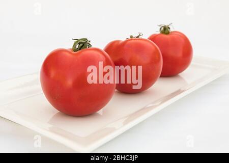 Drei reife, organische, runde Tomaten auf einem weißen rechteckigen Teller mit weißem Hintergrund Stockfoto