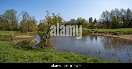 Der Teich auf der Wasserwiese Stockfoto