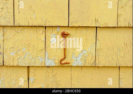 Gelb lackierte façade-Details. Verrostete Verriegelung des Kabinenhakens an einem verwitterten Schindelgleis. Seagull's Nest Geschenkeladen. North Rustico Harbour, PEI, Kanada Stockfoto