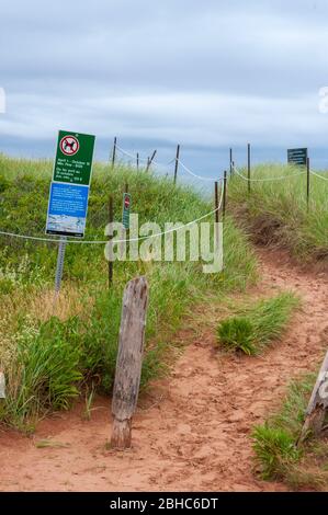 Eingezäunter Weg durch Sanddünen. Schutzschilder, die empfindliche Lebensräume und natürliche Regenerationsgebiete der Tierwelt kennzeichnen. North Rustico Beach PEI Stockfoto