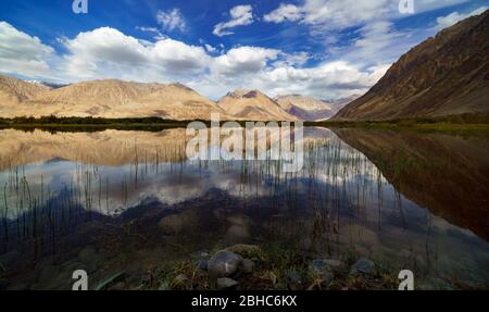 Spiegelungen der Berge in einem natürlichen Teich, Nubra Valley, Jammu und Kaschmir, Indien Stockfoto