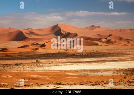 Dünen im Sossusvlei, Namib-Naukluft-Nationalpark, Namibia, Afrika Stockfoto
