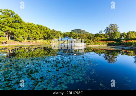 Der Ententeich in den Wollongong Botanic Gardens Stockfoto