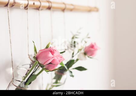 DIY Festliche Dekoration des Wohnzimmers. Rosen in Gläsern sind von der weißen Wand, selektive Fokus aufgehängt. Stockfoto