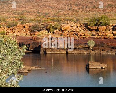 Ein einsames Bergsteiger auf den Klippen der Sir John Gorge am späten Nachmittag auf dem Fitzroy River, Mornington, Kimberley, Westaustralien Stockfoto