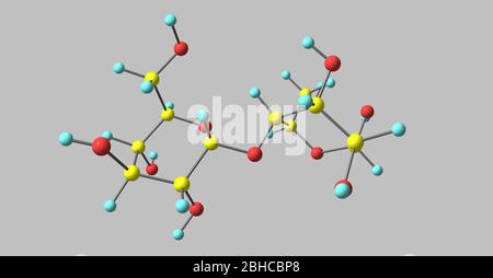 Maltose oder Maltobiose oder Malzzucker ist ein Disaccharid, das aus zwei Einheiten Glukose gebildet wird, die mit einer Alpha-Bindung verbunden sind. 3d-Darstellung Stockfoto