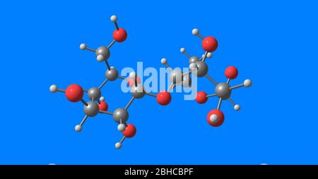 Maltose oder Maltobiose oder Malzzucker ist ein Disaccharid, das aus zwei Einheiten Glukose gebildet wird, die mit einer Alpha-Bindung verbunden sind. 3d-Darstellung Stockfoto