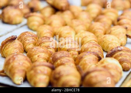 Frisch gebackene Croissants auf Backpapier. Warme frische Buttercroissants. Stockfoto