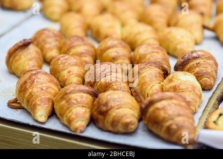 Frisch gebackene Croissants auf Backpapier in einer Bäckerei. Warme frische Buttercroissants. Stockfoto