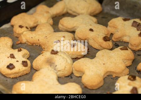 Appetitlich hausgemachte Kekse in Form von Männern auf einem Backblech. Kulinarischer Hintergrund Stockfoto