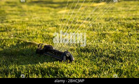 Rasensprenger sprühen Wasser über grünes Gras. Moderne Einrichtung der Bewässerung Garten Gras. Bewässerungssystem - Technik der Bewässerung im Garten Stockfoto