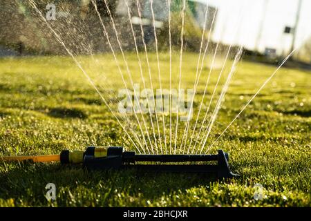 Rasensprenger sprühen Wasser über grünes Gras. Moderne Einrichtung der Bewässerung Garten Gras. Bewässerungssystem - Technik der Bewässerung im Garten Stockfoto