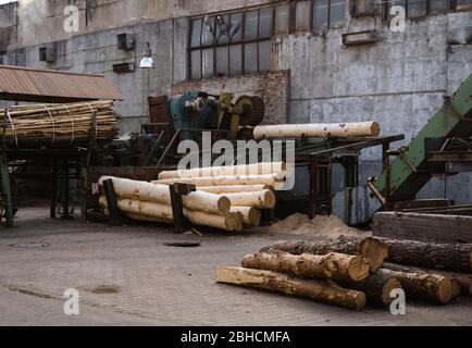 Entfernung der Rinde von den großen Balken auf dem Sägewerk. Die Vorbereitung der hölzernen Balken bis zum Sägen auf der Schnittlinie auf dem Sägewerk. Die Holzindustrie. Ein Haufen von Baumstämmen liegt Stockfoto