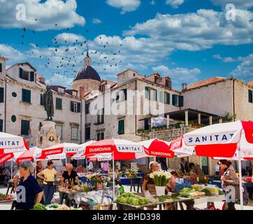 Rote und weiße Sonnenschirme auf dem Dubrovnik Markt Stockfoto