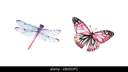 Aquarell Libelle und Schmetterling. Realistische Insektenmalerei isoliert auf weiß. Detaillierte Flügel und lila Körper. Handbemaltes Set des Sommers Stockfoto
