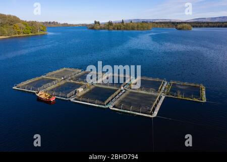 Kleine Fischfarm am See von Menteith, Stirlingshire, Schottland, Großbritannien Stockfoto