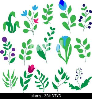 Satz von Blättern, Blumen, Zweigen auf weißem Hintergrund in Vektorgrafiken. Für die Gestaltung von Tapeten, botanischen Illustrationen, Geschenkpapier, Textilien Stock Vektor