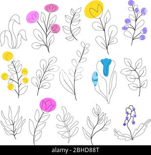 Satz von Blättern, Blumen, Zweigen auf weißem Hintergrund in Vektorgrafiken. Für die Gestaltung von Tapeten, botanischen Illustrationen, Geschenkpapier, Textilien Stock Vektor