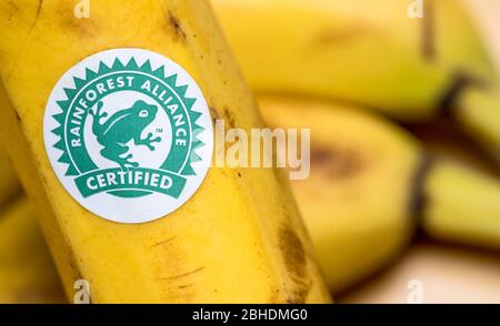 Rainforest Alliance Logo auf einem Haufen Bananen Stockfoto